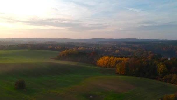 Fantastisk Solnedgång Över Det Gröna Fältet Polen — Stockvideo