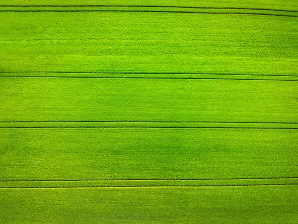 Aerial Landscape Green Field Lines Poland — Stock Photo, Image