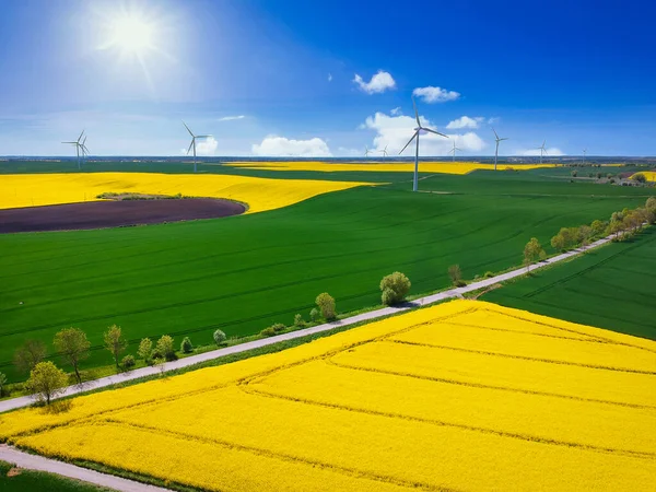 波兰蓝天下黄色油菜地的空中景观 — 图库照片