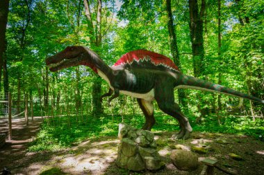 Malbork, Polonya - 1 Haziran 2020: Malbork, Polonya 'daki Dino Park' taki gerçekçi dinozor. Dino Park, hareket halindeki dinozorlar ve ejderhalarla dolu bir turistik merkezdir..