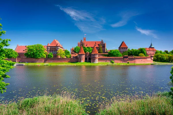 Castelo Malbork Junto Rio Nogat Verão Polônia — Fotografia de Stock