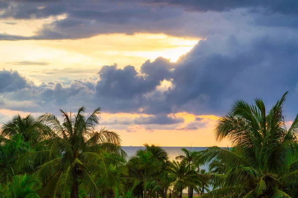 Fantastisk Solnedgång Vid Stranden Med Palmer Thailand — Stockfoto