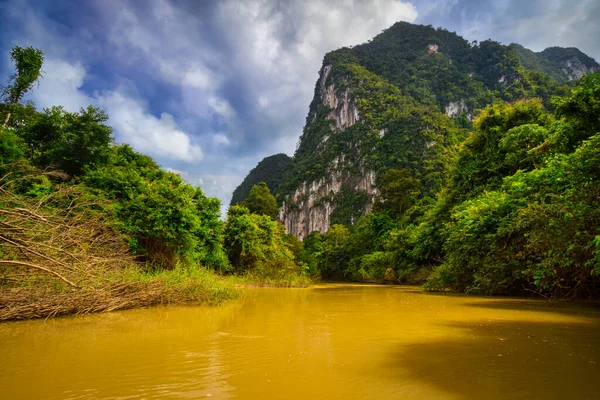 Bosque Lluvioso Del Parque Nacional Khao Sok Tailandia — Foto de Stock