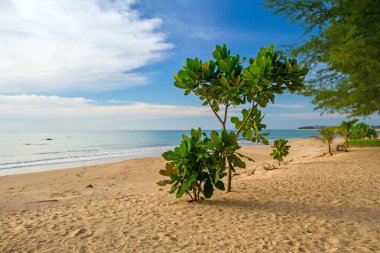 Koh Kho Khao adasının inanılmaz plajı, Tayland