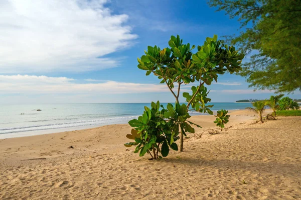 Fantastisk Strand Koh Kho Khao Thailand — Stockfoto