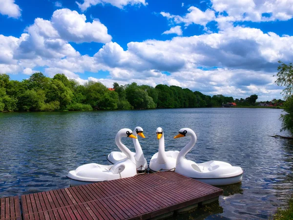 Beautiful Swan Boats Lake Summer Poland — Stock Photo, Image