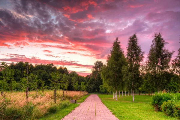 Beau Coucher Soleil Sur Parc Public Pruszcz Gdanski Pologne — Photo