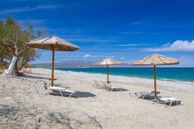 Yunanistan 'ın Girit kentindeki Maleme plajında şempanzeler