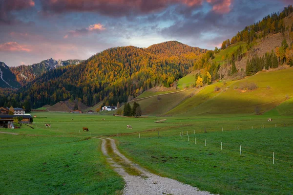 Idylická Scenérie Pohoří Alp Itálii Při Východu Slunce — Stock fotografie