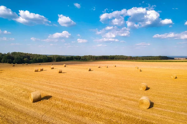 Paysage Incroyable Avec Balles Foin Dans Champ Après Récolte Pologne — Photo