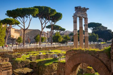 Roma 'daki Roma forumunun kalıntıları, İtalya