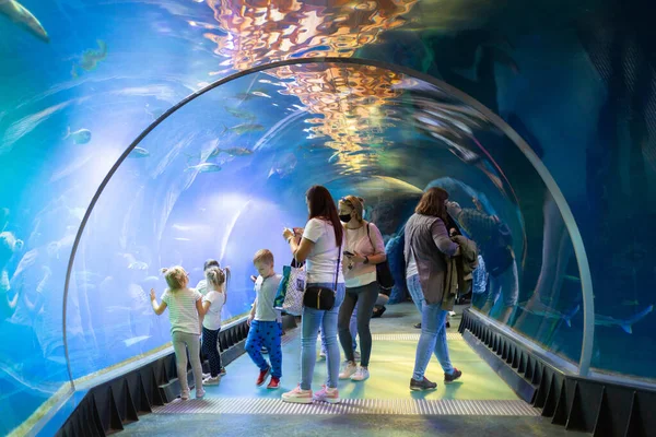 Wroclaw Polônia Setembro 2020 Pessoas Visitam Túnel Subaquático Com Tubarões — Fotografia de Stock
