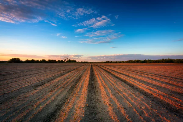 Prachtig Landschap Van Een Geploegd Veld Bij Zonsondergang Polen — Stockfoto