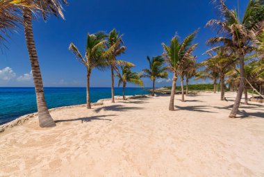 Playa del Carmen, Meksika 'daki Karayip Denizi' ndeki güzel sahil..
