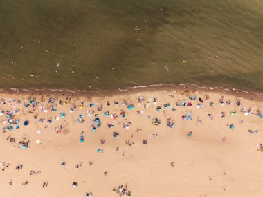 Yazın Sobieszewo, Polonya 'da Baltık Denizi sahilinin güzel manzarası
