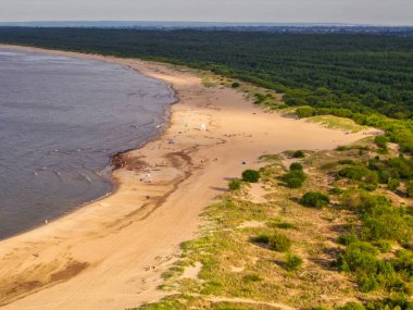 Beautiful scenery of Baltic Sea beach in Mikoszewo at summer, Poland