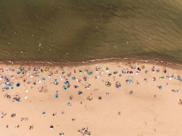 Yazın Sobieszewo, Polonya 'da Baltık Denizi sahilinin güzel manzarası