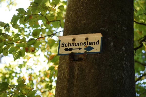 Signpost Árvore — Fotografia de Stock