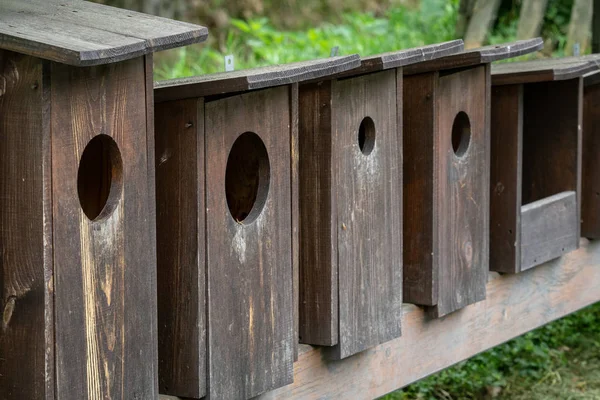 Casas Madera Para Pájaros Fila Cajas Para Pájaros —  Fotos de Stock