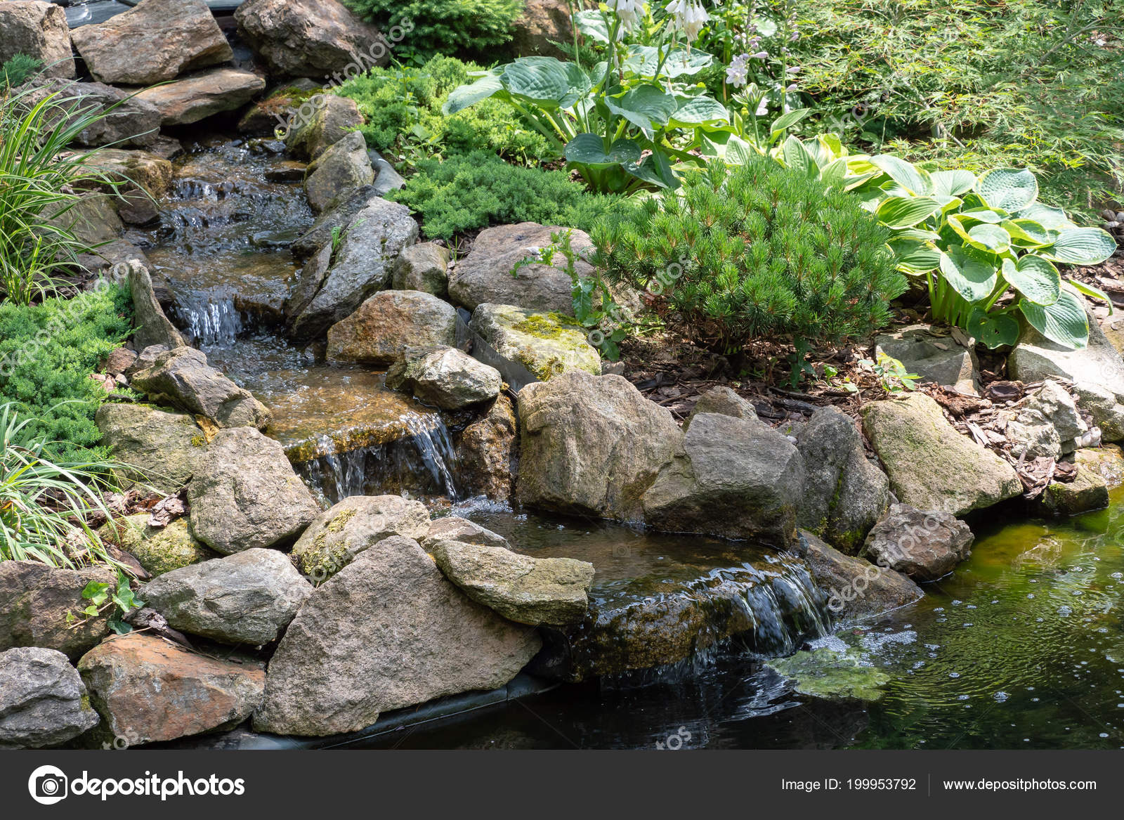 Photo Bassin De Jardin Avec Cascade