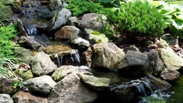 Wodospad Ogrodzie Staw Ogród Kwiatami Wody Piękny Staw Podwórko Otoczone — Wideo stockowe