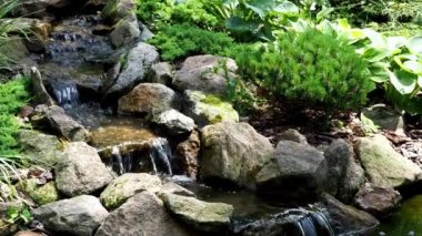 Bahçe şelale. Bahçe gölet su çiçekli. Güzel bir arka bahçe sırasında taş ile çevrili gölette. 