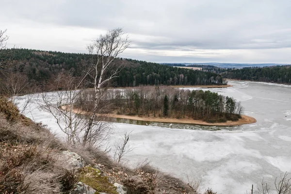 Замороженные Озеро Остров Деревьями Sec Dam Чехия Европа Зимний Пейзаж — стоковое фото