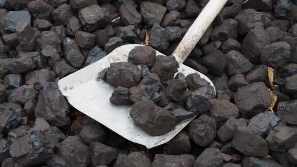Pala Carbón Una Pila Carbón Marrón Con Una Pala Almacenamiento — Vídeos de Stock