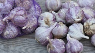 Sarımsak ahşap antika arka plan üzerinde. Sarımsak dikim fidan.