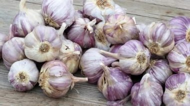 Sarımsak ahşap antika arka plan üzerinde. Sarımsak dikim fidan.