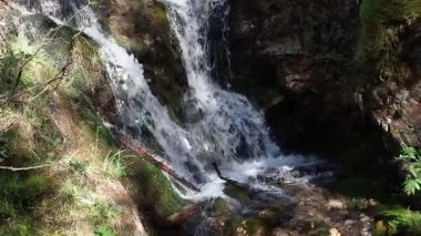 Orman akış Şelalesi doğa.