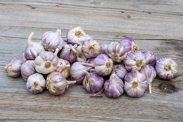 Sarımsak ahşap antika arka plan üzerinde. Sarımsak dikim fidan.