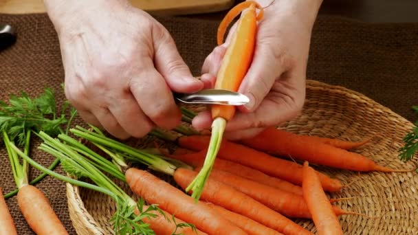 Корневой Овощ Руки Крупным Планом Чистят Морковь — стоковое видео