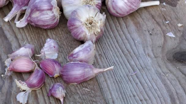 Garlic Wooden Vintage Background Seedlings Planting Garlic — Stock Video