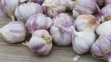 Sarımsak ahşap antika arka plan üzerinde. Sarımsak dikim fidan.