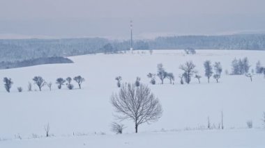 Ağaçlarla kaplı kış manzarası ve arka planda iletişim kulesi