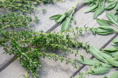 Ahşap masada baharat gıda için taze otlar ve yeşillik kurutma 