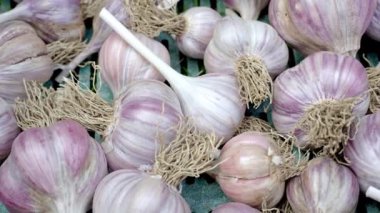 Plastik kasada sarımsak yığını