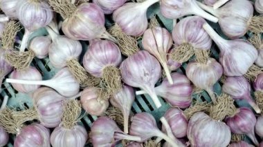 Plastik kasada sarımsak yığını