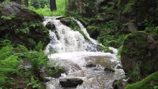 Waterval Wilde Rivier Doubrava Tsjechië Vallei Doubrava Bij Chotebor — Stockvideo