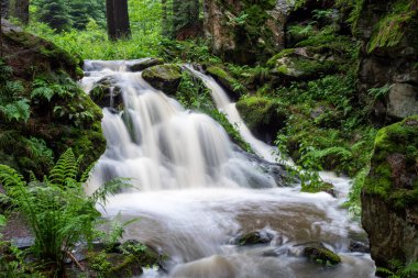 Şelale, Çek Cumhuriyeti 'nde Doubrava nehri. Chotebor yakınlarındaki vadi Doubrava.
