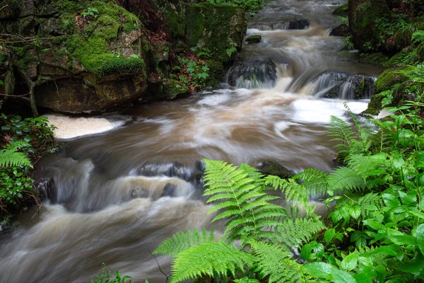 Waterfall Wild River Doubrava Czech Republic Valley Doubrava Chotebor — Stock Photo, Image