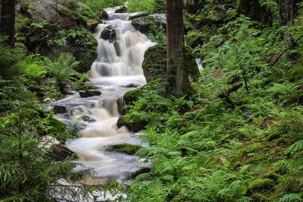 Waterfall Wild River Doubrava Czech Republic Valley Doubrava Chotebor — Stock Photo, Image