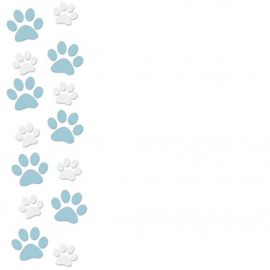 hayvan paws