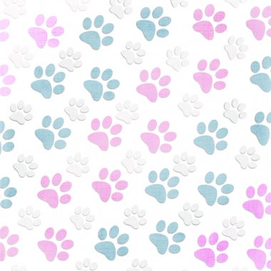hayvan paws