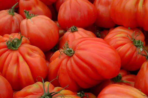 Fresh red tomatoes from the market