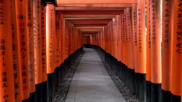 Caminando dentro de Fushimi Inari Taisha, un santuario sintoísta en Kyoto, Japón. — Vídeos de Stock