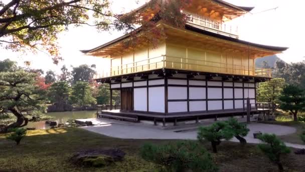 Ήλιος πέρα από το χρυσό περίπτερο Kinkaku-ji κατά τη διάρκεια της momiji περιόδου, Κιότο, Ιαπωνία — Αρχείο Βίντεο