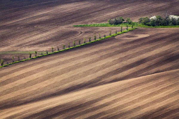 Sunset lines and waves in the spring — Stock Photo, Image