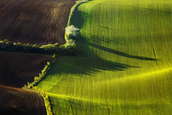 Sunset lines and waves in the spring — Stock Photo, Image